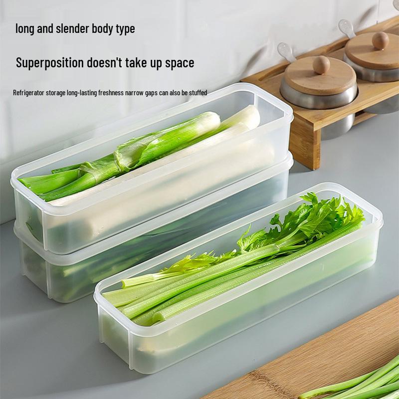Cilantro & Scallion Fresh-Keeping Storage Box for Herbs, Noodles, Eggs & Meal Prep