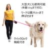 Dog Automatic for and Small 8m 50kg Load with for Large 10 Turn Signal Sea English Extension Carabiner [IBUKI-STYLE] Leash, Retractable, Retraction,