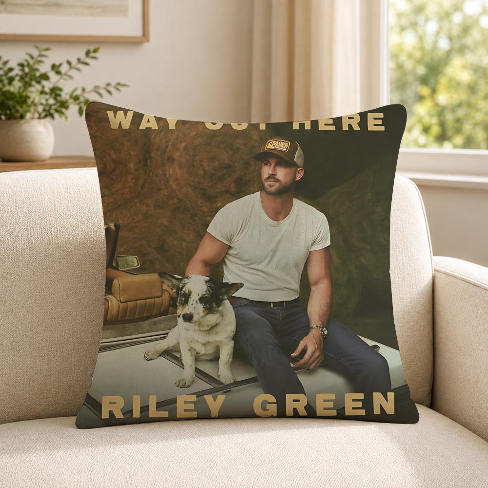 Singer RRiley GGreen Cushion Cover Soft Short Plush SkinFriendly Cushion Case for MultiScene Use