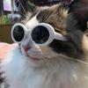 Pet Sunglasses Retro Dogs Round Sunglass Cosplays Accessory for Cats Small Dogs