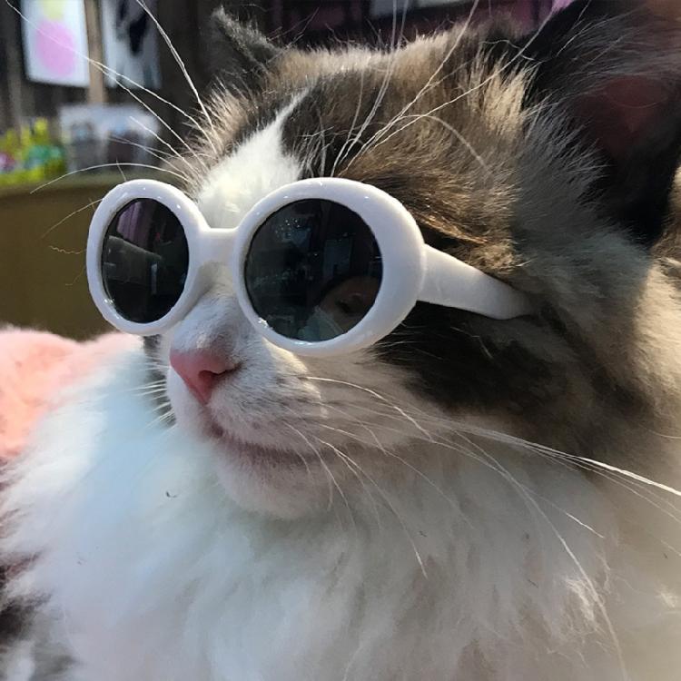 Pet Sunglasses Retro Dogs Round Sunglass Cosplays Accessory for Cats Small Dogs