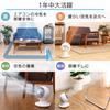 Iris Ohyama Circulator Mini 8 Tatami Left and Right Powerful Air White Fan, Mats, Quiet, Swing, Blower, PCF-SM12-W