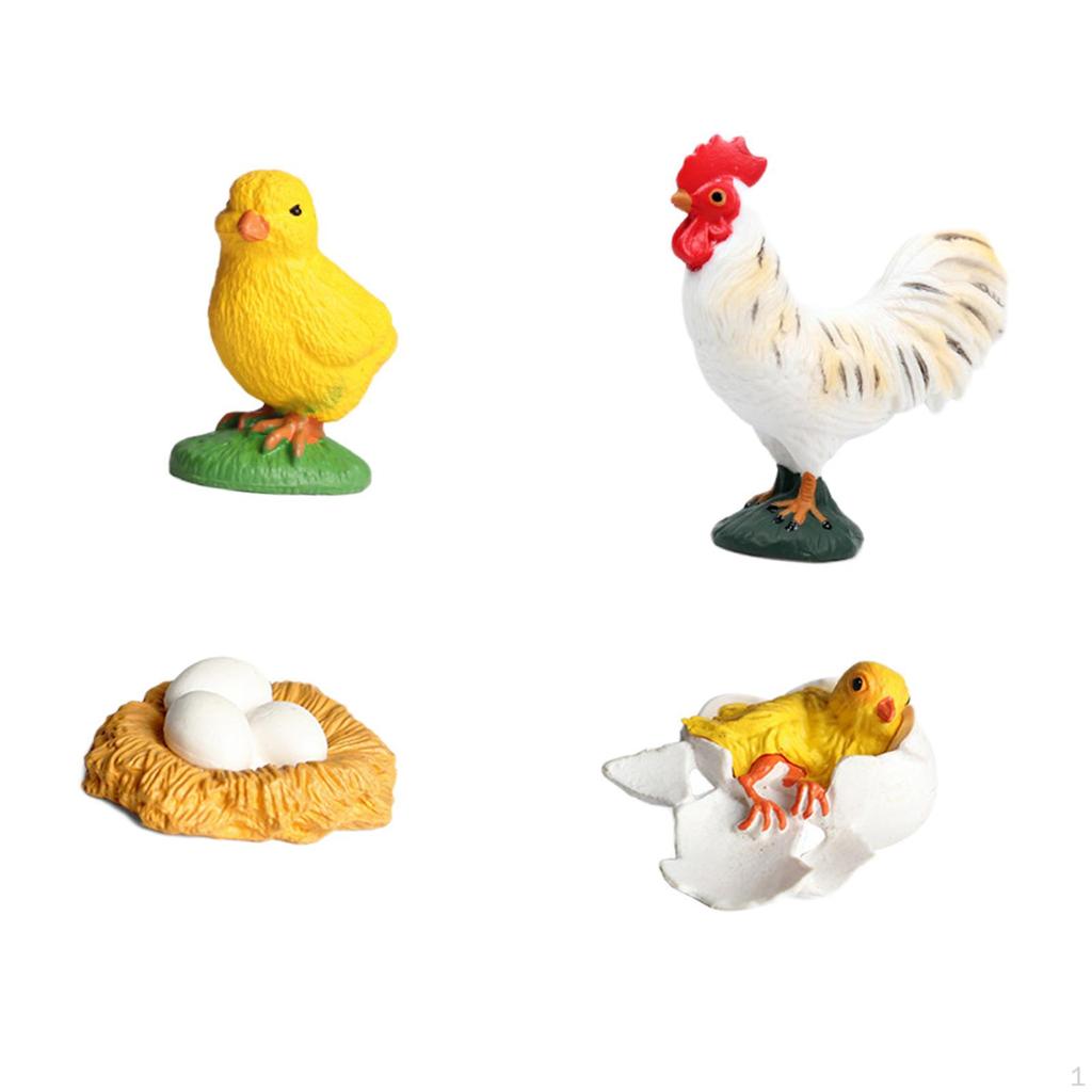 Chicken Growth Cycle Set,Teaching Aids Classroom,Learning,Early Education,Animals Figurine