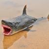 Sea Life Model Megalodon Shark Figure Aquarium Ocean PVC Education Marine Animals Toy Collectio M8V4