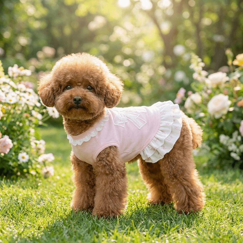 Breathable Pet Princess Dress Lotus Leaf Edge Bow Dog Skirt Sweet Puppy Lace Skirt Outdoor Walk
