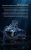 TRN Dolphin Wired 1DD Dynamic Second Generation LCP Dual Magnetic Dynamic HiFi Monitor Metal Detachable Interchangeable Plug In-Ear Headphones, (1