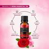 Aerra Harmony Sextet – Lavender, Rose, Lemongrass, Orange, Jasmine, Sandalwood Essential Oil Combo (6 x 15ml) – Puja, Diffuser