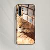 Case For Huawei P30 Lite Cover P30 Lite Tempered Glass Case Cute Silicone Phone Fundas For Huawei P 30 Cases For Huawei P30 Pro