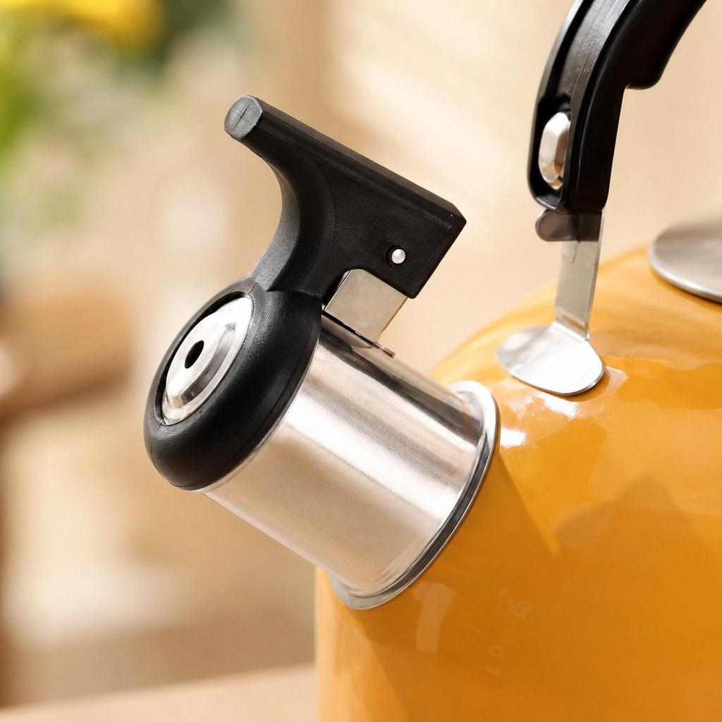 Large Capacity Portable Whistling Kettle for Tea And Coffee, Induction Hobs.