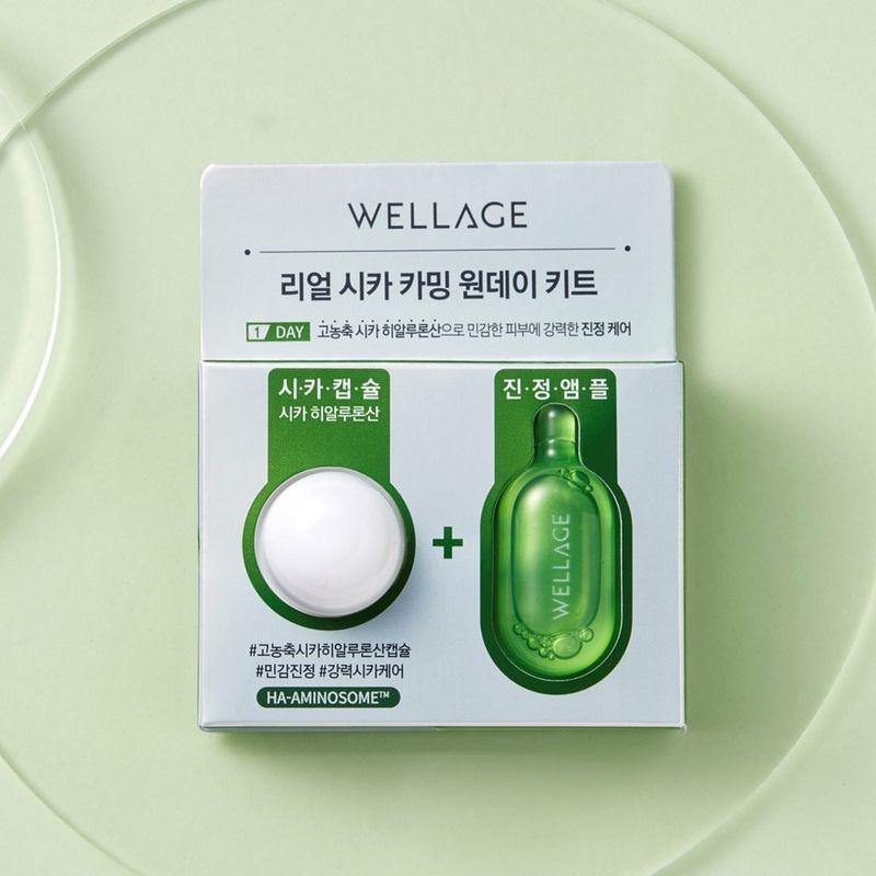 Real Cica Calming One-Day Kit (4 Packs)