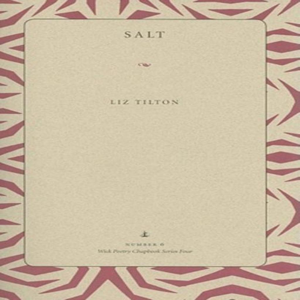 Salt Paperback Book 9781606350140