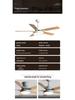 Nordic Style Ceiling Fan Light: Silent, Integrated Pendant for Living & Dining Room Ambiance