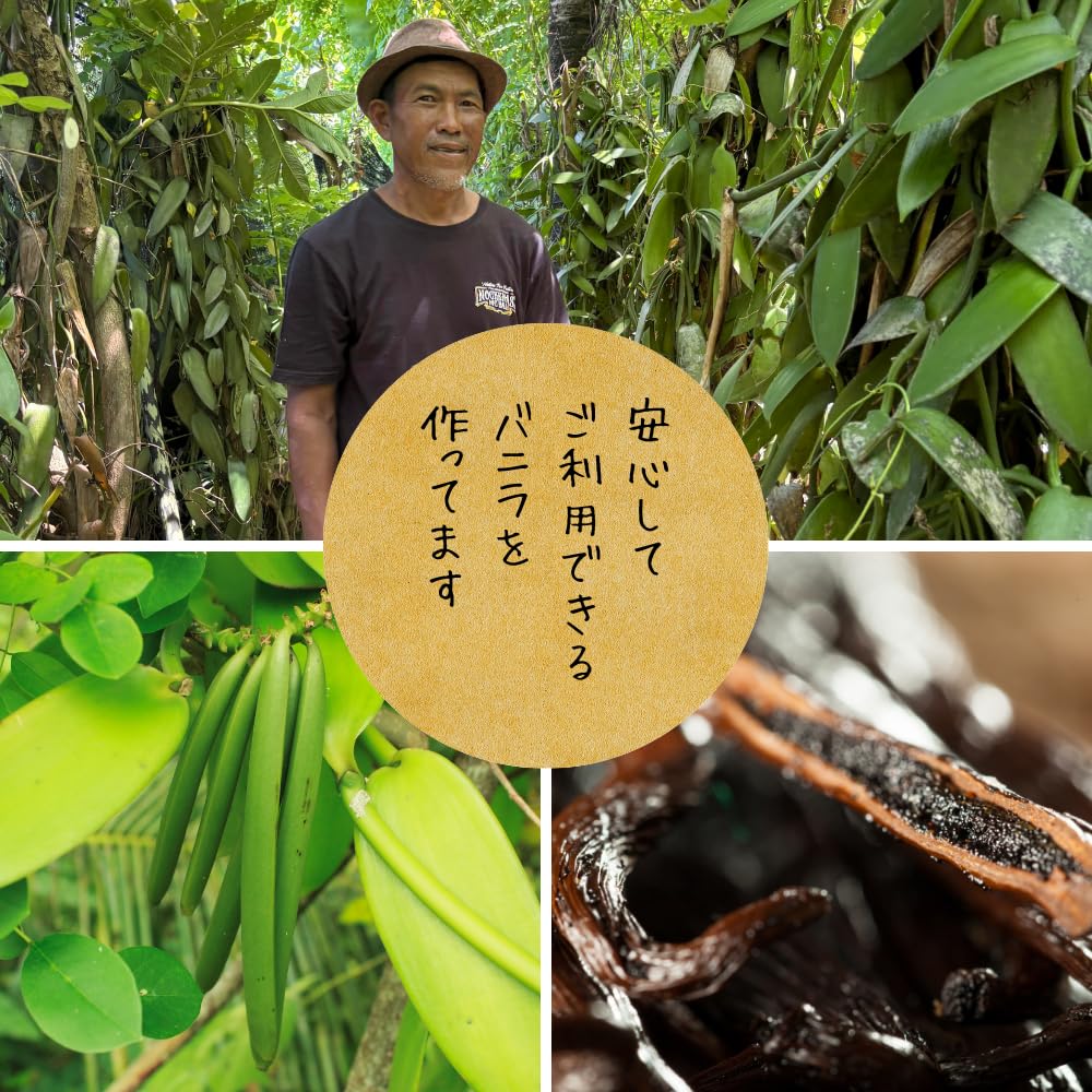 Vanilla Beans Made In A Grade Bourbon Sweets Homemade Great Value 18-20cm, Pesticide-free, Indonesia, Vanilla, Vanilla, Making, Extract, (12 Bottles)