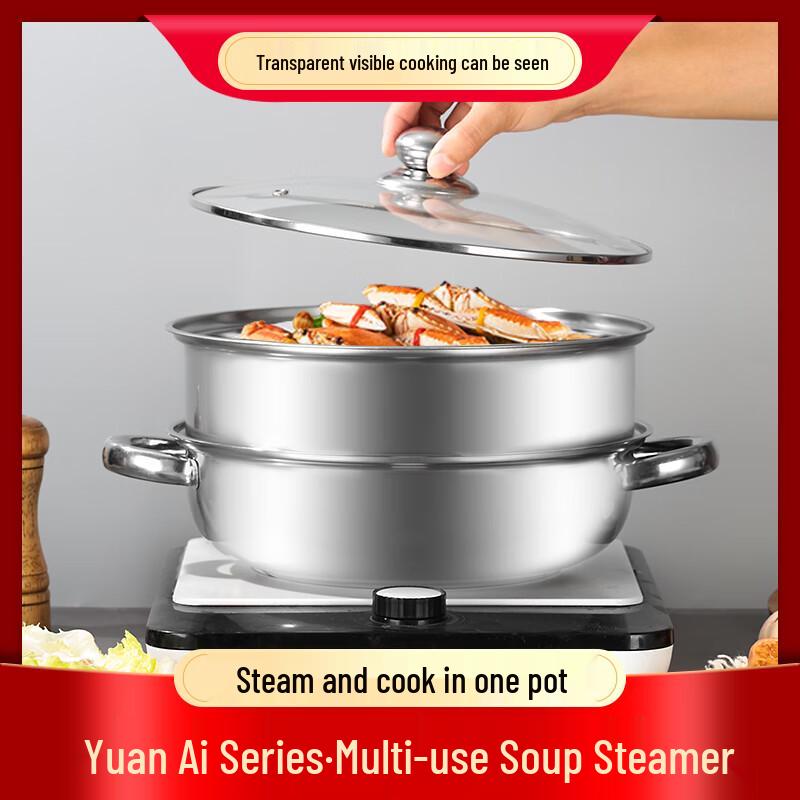 Aoding Yuanai Series Multi-Purpose Soup Steamer