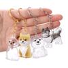 Transparent Dog Hair Collection Pendant Bichon Husky Corgi Gifts Dog Hair Storage Box Portable Pet Hair Ball Storage Pendant