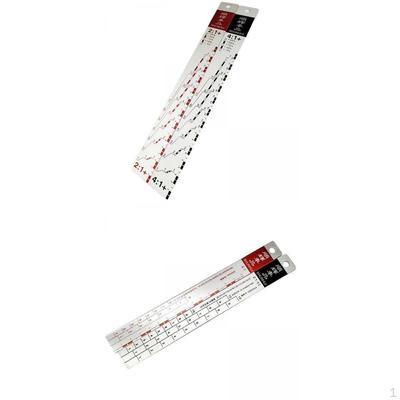 2 PEZZI Righello Mescolatore Vernice Auto 2:1 e 4: Miscelazione di Vernici Automatiche