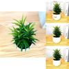 Fake Succulent Plant Pot With Pvc Material For Home Decor And Office Display