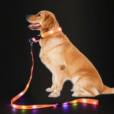 Köpek – Köpek Tasmaları ve Tasma Kayışları
