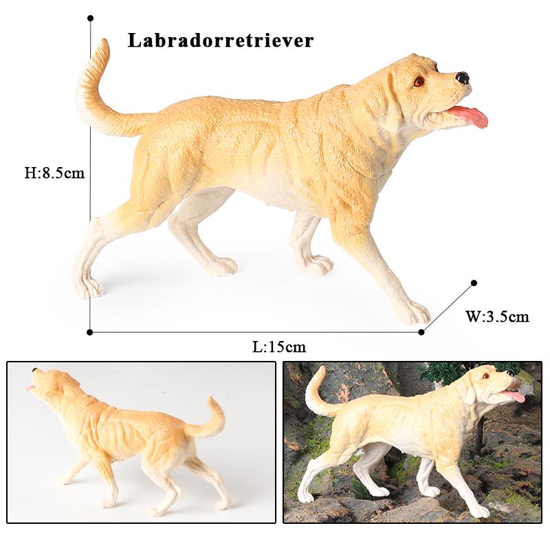 Oenux Dog Animals Model Action Figure Dobermann Shiba Inu Pomeranian Boxer Husky Puppy Figurines Cute Collection Toy Kids Gift