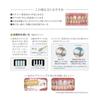 [Quasi-drug] GC Rushelo Toothpaste White 100g X 1 Bottle