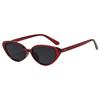 Exquisite Trend Cat Eye Sunglasses Women Men Personality Fashion Sun Glasses Street Photography Glasses