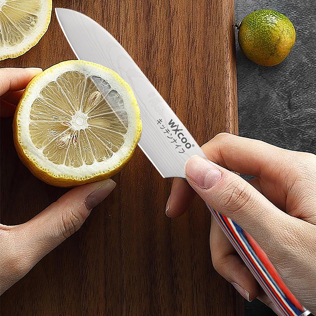 Damascus Steel Pattern Santoku Knife Professional Japanese Chef's Knife Sharp Enough for Slicing Meat Fish Fruit Kitchen Cleaver