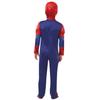 Spider-Man Boys Deluxe Costume
