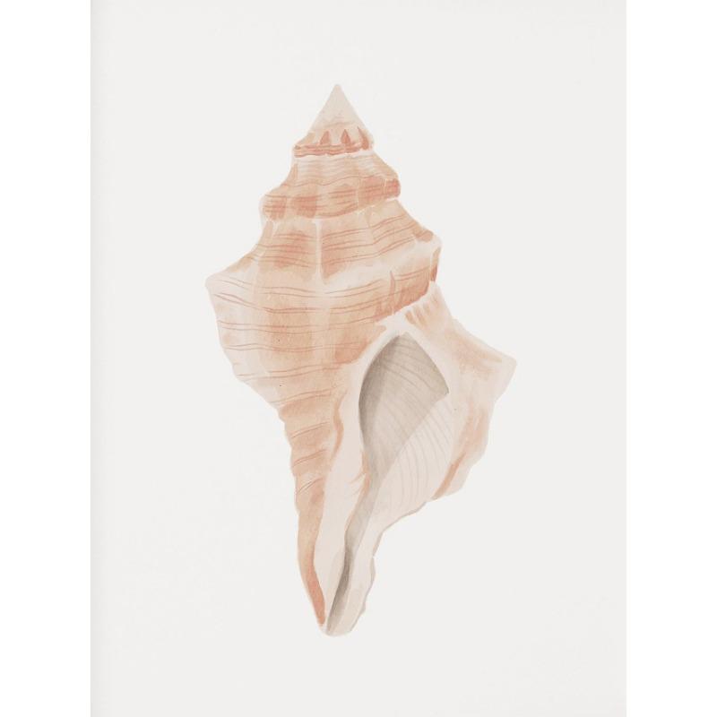 Beach Crab Conch Coral Starfish Shell Sand Watercolor Poster Canvas Printing Coastal Wall Art Picture for Living Room Home Decor