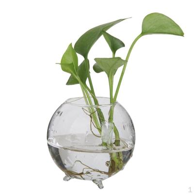 Transparenter, hitzebeständiger Borosilikatglas-Flaschenbehälter in Form einer Mikrolandschaft