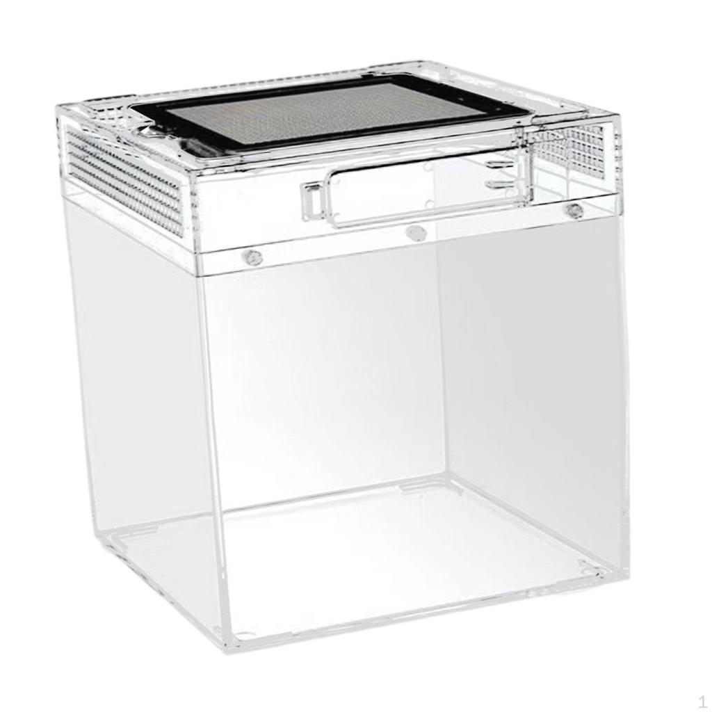 Uppfödnings-terrarium för reptiler, Transparent reptillåda, Behållare Grodor, Drakar, Tusenfotingar,