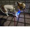Windproof Dog Raincoat Transparent Dog Clothing for Rainy Days Walking Pet Poncho  Dog Supplies