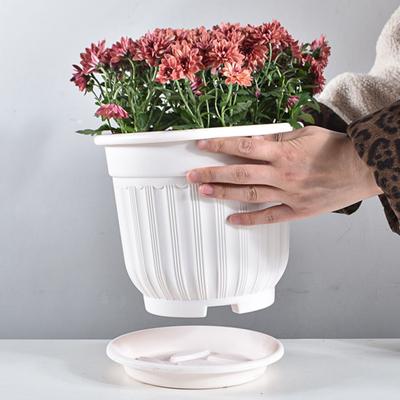 Large Flower Pot with Saucer Solid Color Planter with Drainage Hole Garden Rose Flowerpot for Indoor Outdoor Orchids Succulents Herbs