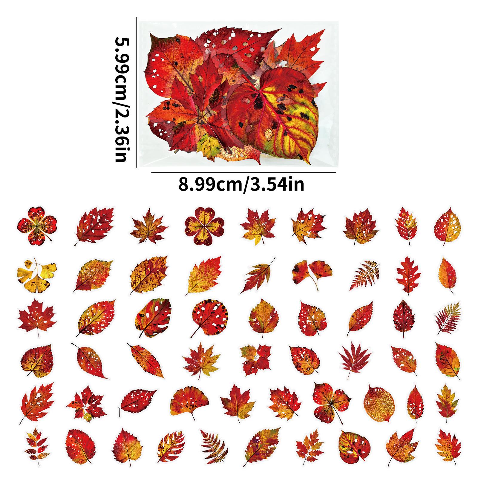 

56 Autumn Fallen Leaves Transparent Pet Stickers Writing Books Leaf Decoration Helmet Electric Car Creative Stickers
