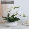 Artificial Phalaenopsis Floral Arrangement for Living Room Display - Potted Decoration for TV Cabinet