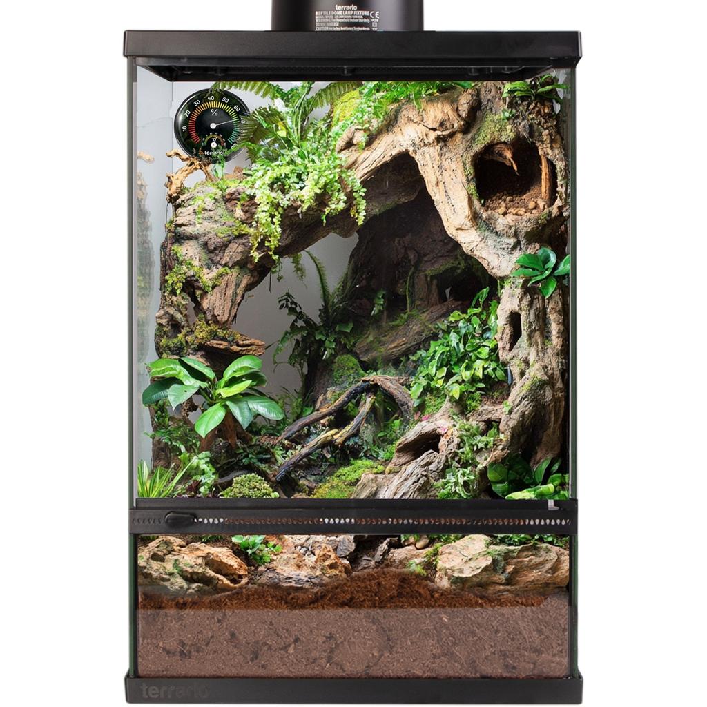 Terrario Oasis Verde 10 - Terrarium 30X30X45 With Kit