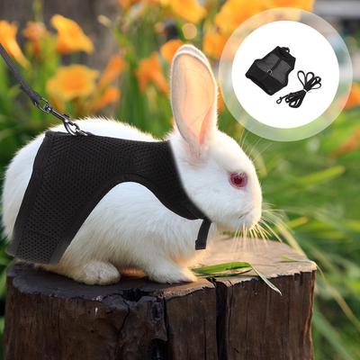 Produtos para animais – Roedores