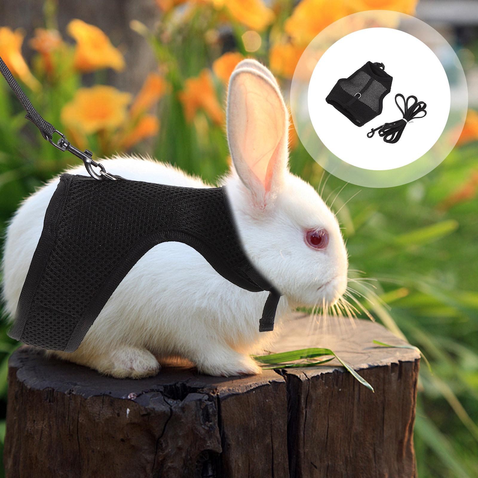 

1Set Premium Texture Rabbit Harness Leash Set Comfortable Lightweight Breathable for Everyday Walk Weekend Party Small Pet M