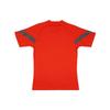 Puma Letter Casual Short Sleeve T-Shirt Men Tops Red 767566-09