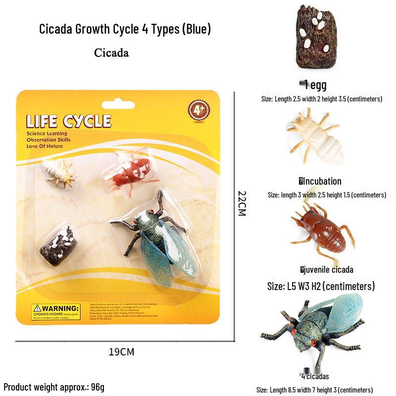 Cross-border Simulation Animal Suction Toy: Butterfly, Rooster, Ant, Frog, Sea Turtle, Mosquito Growth Cycle Models
