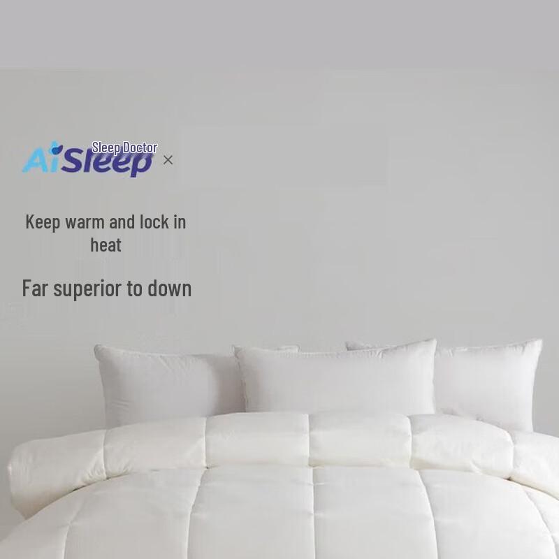 

AiSleep Aerospace Velvet Down Alternative Winter Comforter