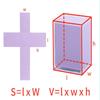 Perspective 8Pcs Geometry Solid Geometry Model Detachable Primary School Teaching Cube Rectangular Prism Teaching Tool