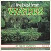 CD UNKNOWN ARTIST  All The Best From Wales  20 Great  CLUCCD79 LDMI Canada Dance  Electronica Used