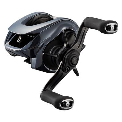 Daiwa Baitcasting Reel 25IM Z TW (DAIWA) 100L-C