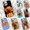 Hungarian Vizsla Dog Phone Case for iPhone 17 Air 16 15 14 12 13 PLUS 11 PRO MAX Back Cover Fundas