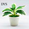 Garden Artificial Potted Plant Realistic Plastic Eye-Catching Decoration Imitative Bonsai Plants for Home