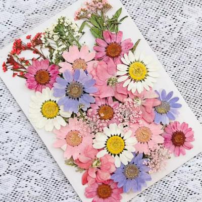 Real Pressed Flowers Dried Pressed Flowers Dry Leaves Bulk Natural Herbs Kit for Scrapbooking DIY Art Crafts Epoxy Jewelry Molds Soap Making