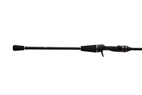 AbuGarcia Black Ship Light Horse Mackerel Horse Mackerel Body Condition Boat Rod Fishing Rod Horse Mackerel (Abu Garcia) KLAC-175ML-light 64