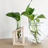 Test Tube Glass Vase Plant Propagation Station Hydroponic Vases for Plants with Wooden Stand Terrarium Office Home Desktop Decor