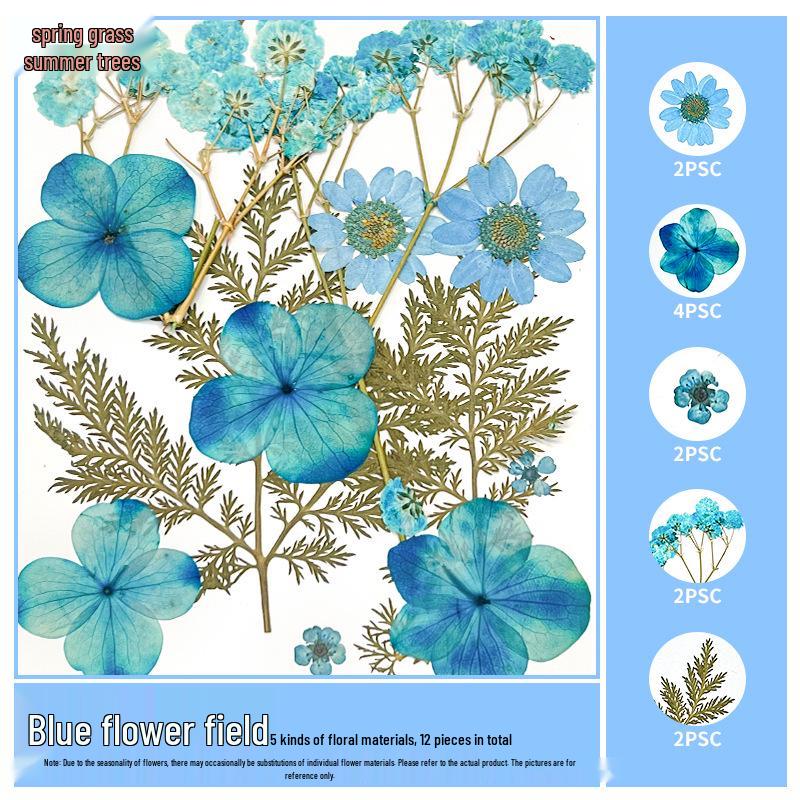Handmade Pressed Flower Bookmark and Epoxy Sticker Pack with Real Leaf and Plant Specimens for DIY Face Makeup.