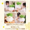 NASSIA Plush Toy - Cabbage and Bird - Funny, Cute, Humorous Item, Body Pillow, Relaxing Item, Gift (40cm)